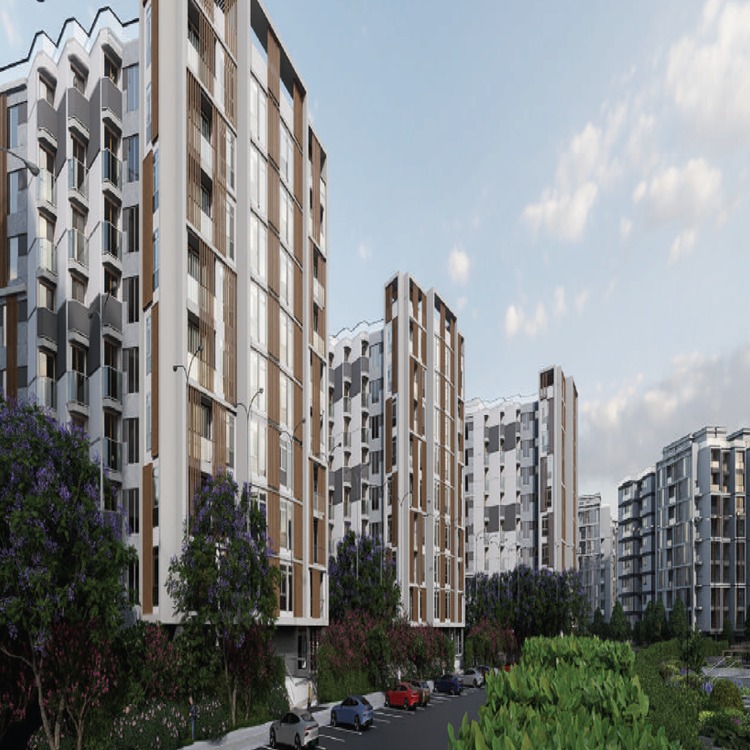 مساحة وحدات قرية بالميرا العلمين الجديدة Palmeira residence alamein units