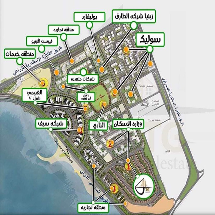 المطورون داخل مشروع صواري Sawary Alexandria