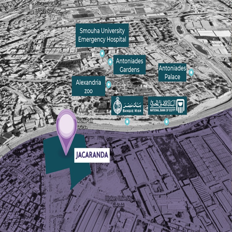 موقع كمبوند جكراندا سموحة Jacaranda Smoha Compound